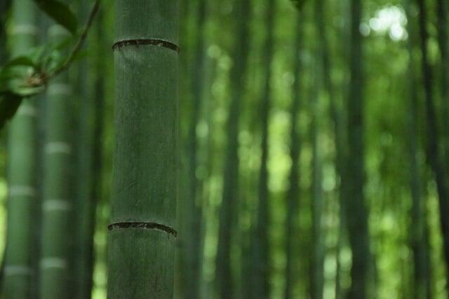 2026年　年始のご挨拶